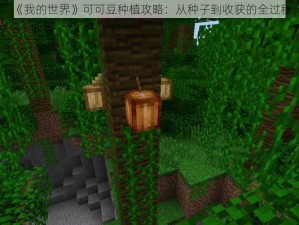 《我的世界》可可豆种植攻略：从种子到收获的全过程