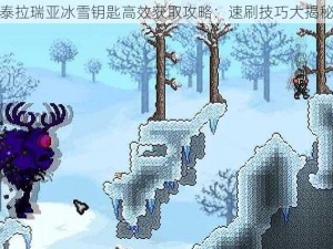 泰拉瑞亚冰雪钥匙高效获取攻略：速刷技巧大揭秘