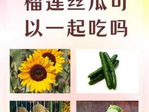 向日葵草莓丝瓜鸭脖可以一起吃吗？为什么有些食物不能搭配在一起？