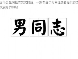 中国小男生同性恋男男网站，一款专注于为同性恋者提供交流和社交服务的网站