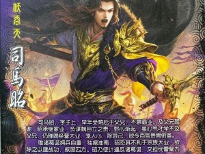 探究《三国大亨》：谁是禁卫武将中的翘楚，最强肉盾武将究竟花落谁家