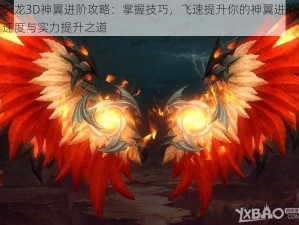 天龙3D神翼进阶攻略：掌握技巧，飞速提升你的神翼进阶速度与实力提升之道