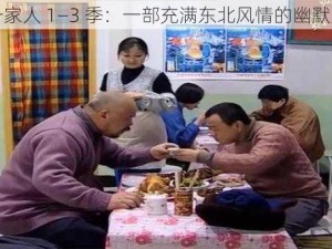 东北一家人 1—3 季：一部充满东北风情的幽默家庭剧