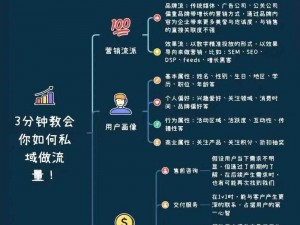 SEO 短视频网页入口引流技巧：提升网站流量的必备秘籍