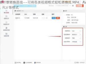 嫩叶草转换路线——可将各类视频格式轻松转换成 MP4、AVI、FLV 等格式