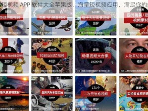 成品短视频 APP 软件大全苹果版，海量短视频应用，满足你的娱乐需求