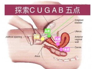 调 教 G 点(请详细阐述如何有效地调教 G 点以及相关注意事项和经验分享)