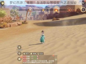 梦幻西游三维版：生活职业等级提升之道探秘