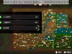 《阿玛拉王国》DLC 存档位置提示：寻找游戏存档的实用指南