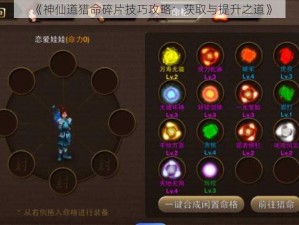 《神仙道猎命碎片技巧攻略：获取与提升之道》