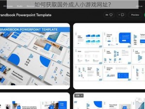 如何获取国外成人小游戏网址？