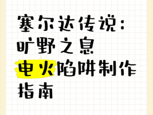 《塞尔达传说：电陷阱制作指南——从原理到实践》