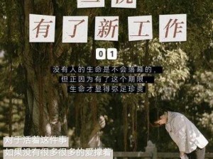 三悦有了新工作：探索生命的新起点