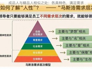 成品人与精品人相似之处：各具特色，满足需求