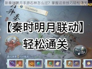 新秦时明月手游石林怎么过？掌握这些技巧轻松通关