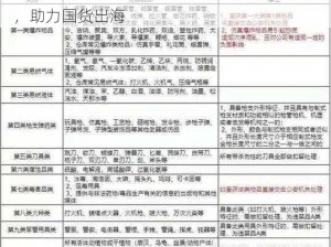 中国老妈 SHOPIFY一站式跨境电商解决方案，助力国货出海