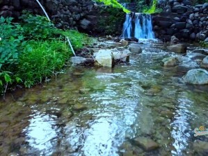 水帘白瀑如饥似渴——畅饮天然山泉水，体验大自然的清凉与甘甜