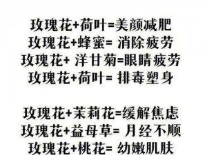 全息玫瑰下的高速路安装与配置指南：最新技术与玫瑰装饰的融合说明