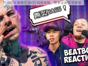 BBOX 最残忍 BASS 音效震撼，带来全新听觉体验