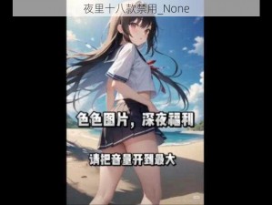 夜里十八款禁用_None