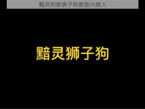 黯灵刺客狮子狗教敖兴做人