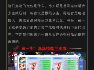 桃花源记手游流云仙子角色深度解析与加点策略指南