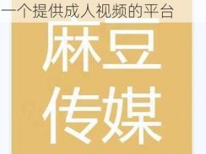 麻豆传煤官网入口在线网站是一个提供成人视频的平台