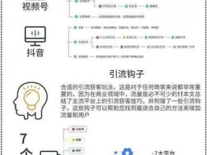 为什么你的短视频网页入口没有流量？如何通过 SEO 短视频网页入口引流？