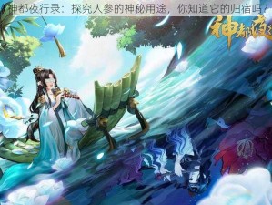 《神都夜行录：探究人参的神秘用途，你知道它的归宿吗？》