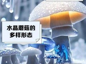 水晶蘑菇的神秘功效：探寻其实用价值与研究进展