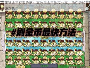 胜利足球金币获取攻略：高效刷金币教程分享，助你轻松获取更多游戏货币