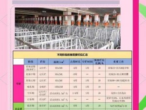 阳光养猪场配种公式大揭秘