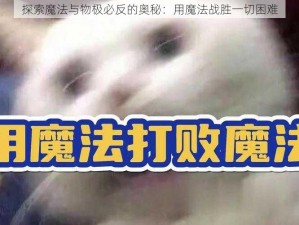 探索魔法与物极必反的奥秘：用魔法战胜一切困难