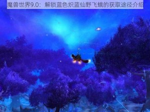 魔兽世界9.0：解锁蓝色炽蓝仙野飞蛾的获取途径介绍