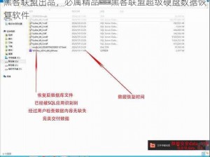 黑客联盟出品，必属精品——黑客联盟超级硬盘数据恢复软件