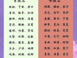 《王权 2：幻想王国》取名指南：如何用中文给勋爵起一个合适的名字