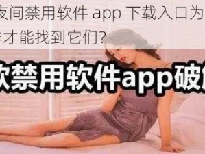 18 款夜间禁用软件 app 下载入口为何难找？怎样才能找到它们？