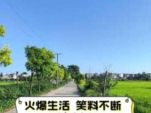 史小坑的爆笑生活第12季之打西瓜攻略：智破第18关生活趣事笑料不断