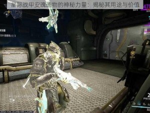 星际战甲安魂遗物的神秘力量：揭秘其用途与价值