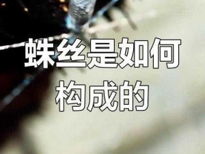 泰拉瑞亚蜘蛛丝获取攻略：揭秘蛛丝获取途径与技巧，实用指南助你轻松入手