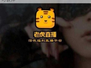 琪琪影影 2019 在理论：一款功能强大的学习软件