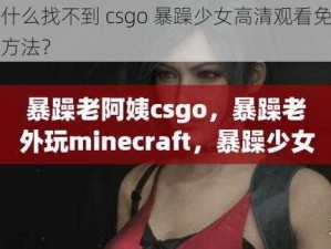 为什么找不到 csgo 暴躁少女高清观看免费的方法？