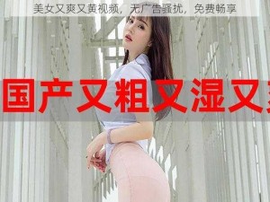 美女又爽又黄视频，无广告骚扰，免费畅享