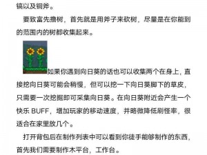 泰拉瑞亚普兰黛拉挑战应对策略详解：实战操作与防御布置指南