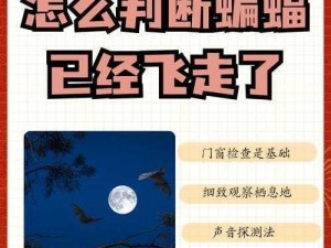 天天风之旅蝙蝠任务极速攻略：探寻蝙蝠栖息地，揭秘最多蝙蝠出没地点秘籍