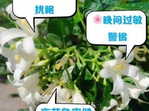 女子半夜莲花开是怎么回事？为什么会这样？该怎么办？