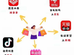 爱情岛路线二路线三京东唯品会，哪个更适合你？