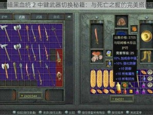 《暗黑血统 2 中键武器切换秘籍：与死亡之握的完美搭配》