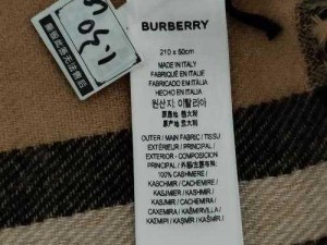 BURBERRY 中文免费版是真的吗？如何下载安装 BURBERRY 中文免费版？