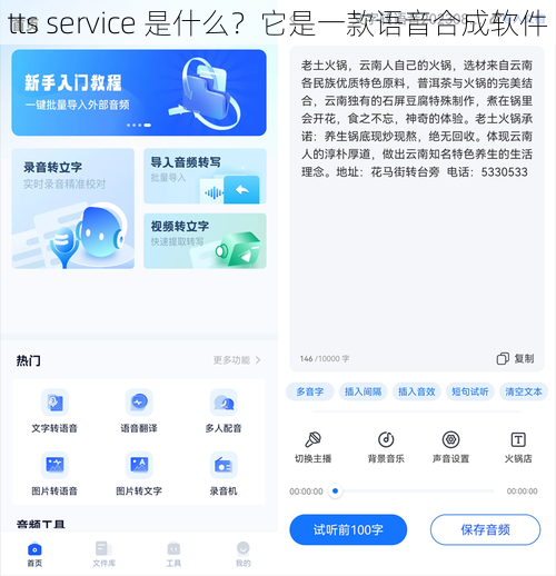 tts service 是什么？它是一款语音合成软件